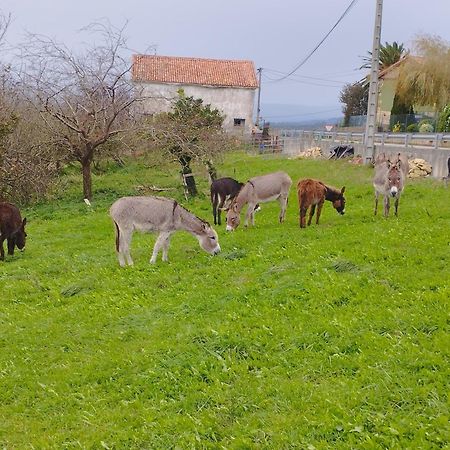 Los Sauces De La Fuente Santillana del Mar Kültér fotó